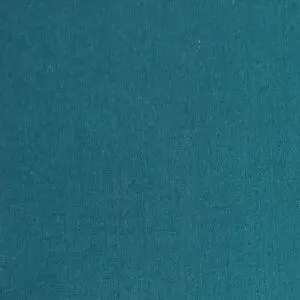 Popelina Lisa
